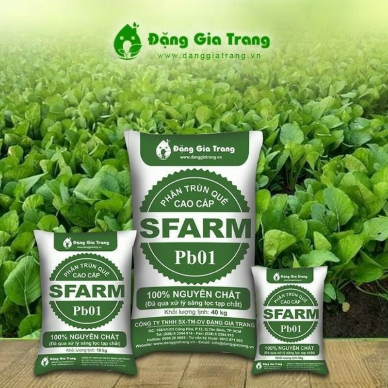 25kg phan trun que sfarm