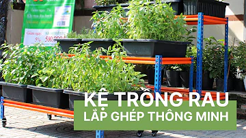 ke trong rau lap ghep thong minh   vuon sai gon